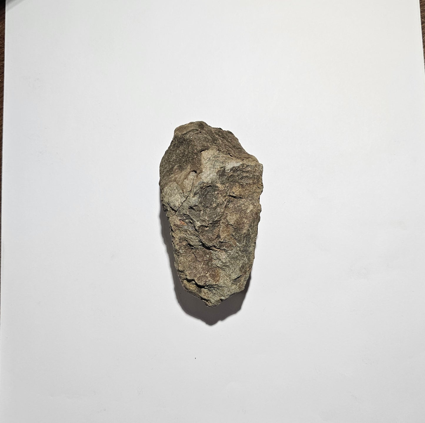 Trilobite Fossil Exquisite Specimen