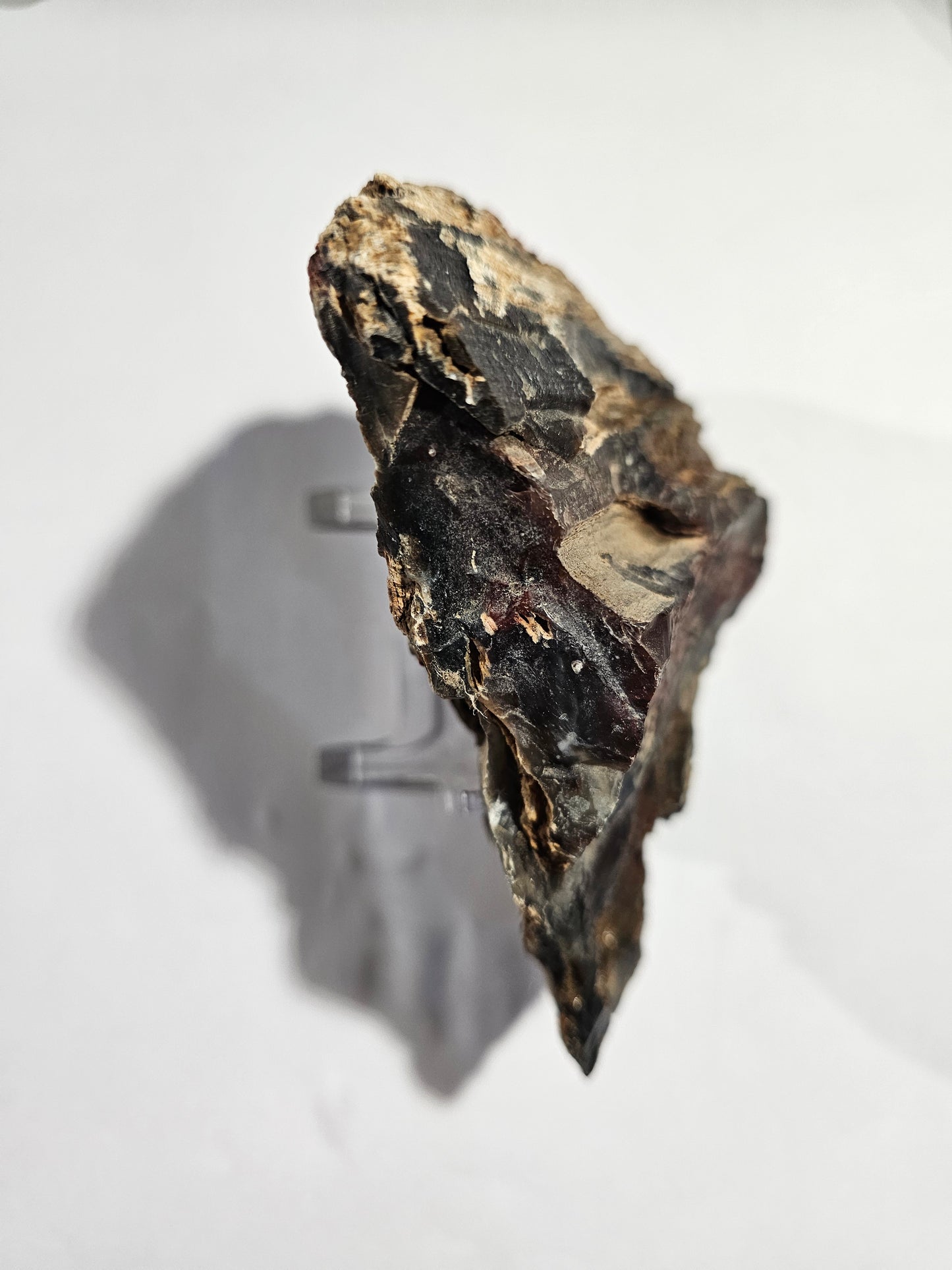 Raw Silver Creek Junction Petrified Wood Specimen with Knot