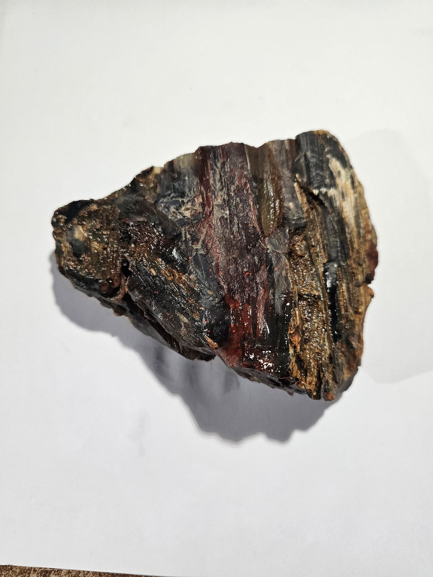 Raw Silver Creek Junction Petrified Wood Specimen with Knot