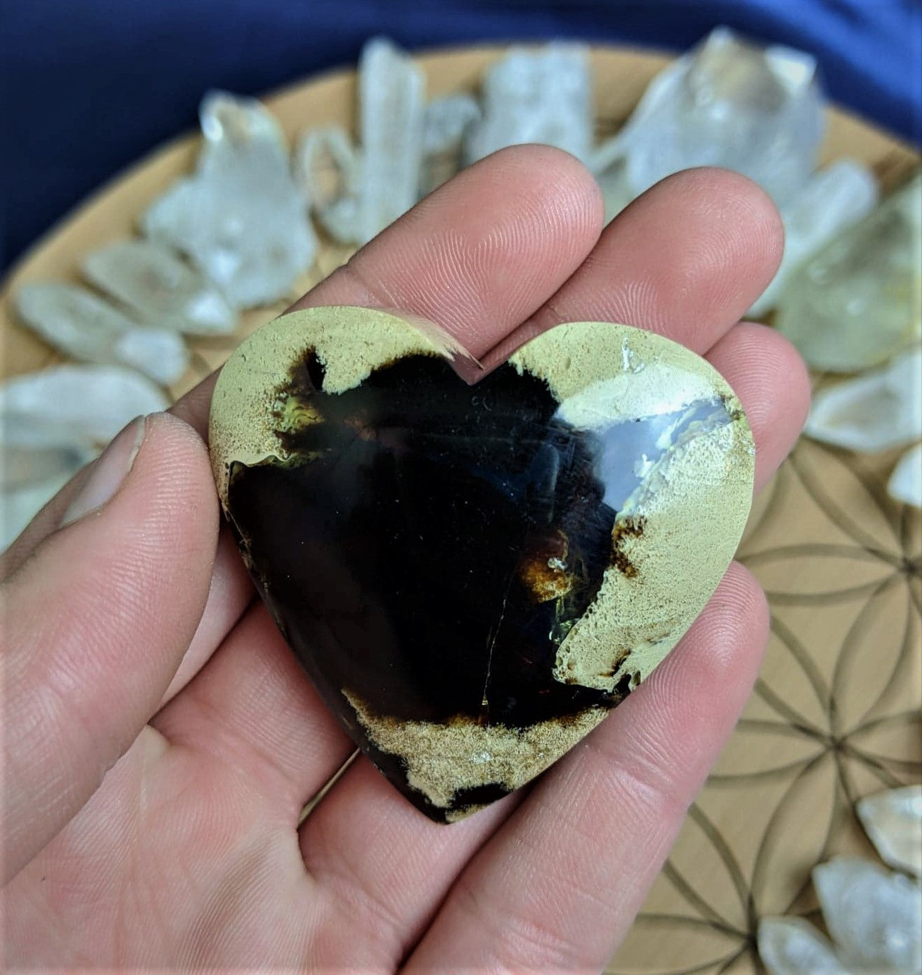Zebra Amber Crystal Heart