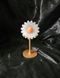 Selenite Daisy