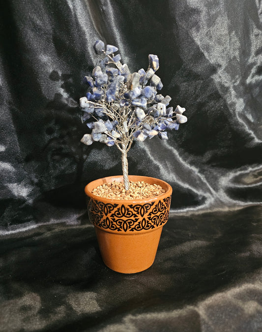 Gem Tree - Sodalite in Ceramic Pot (7-7.5")