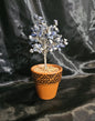 Gem Tree - Sodalite in Ceramic Pot (7-7.5")