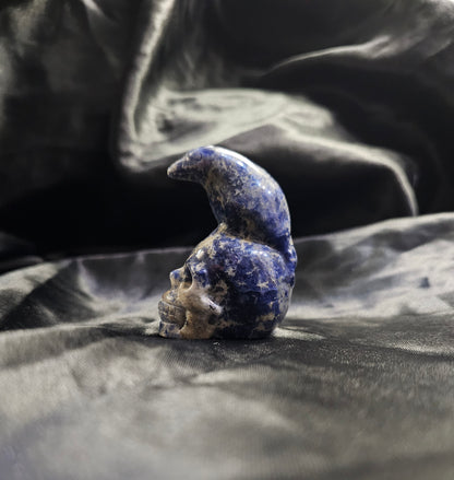 Hand‑Carved Sodalite Skull with Bird Totem | Metaphysical Crystal Carving
