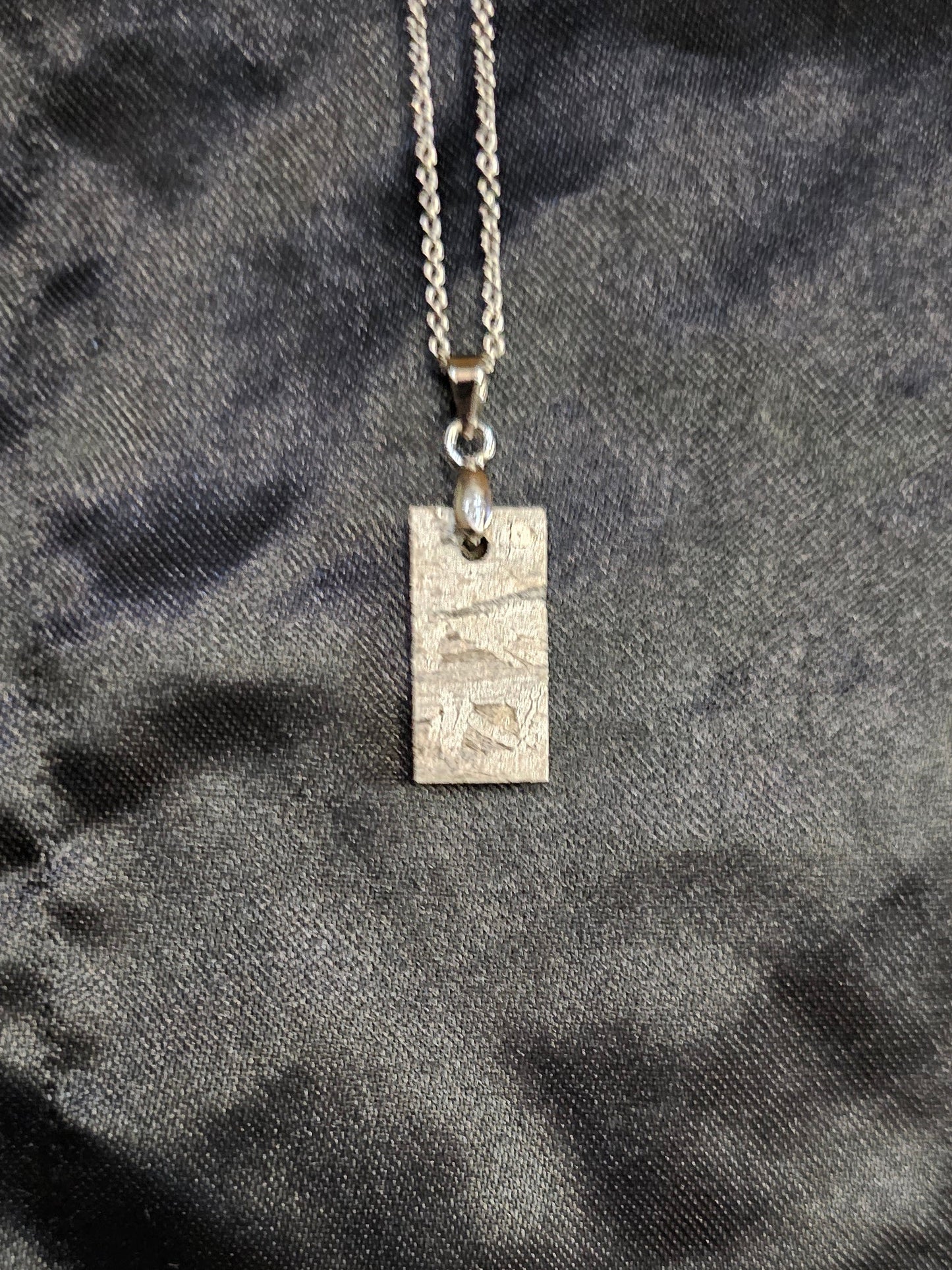 Pendant w/16" SS Chain - Campo del Cielo Meteorite