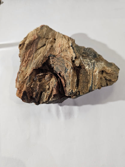 Raw Silver Creek Junction Petrified Wood Specimen with Knot