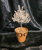 Gem Tree - Rose Quartz in Ceramic Pot (7-7.5")