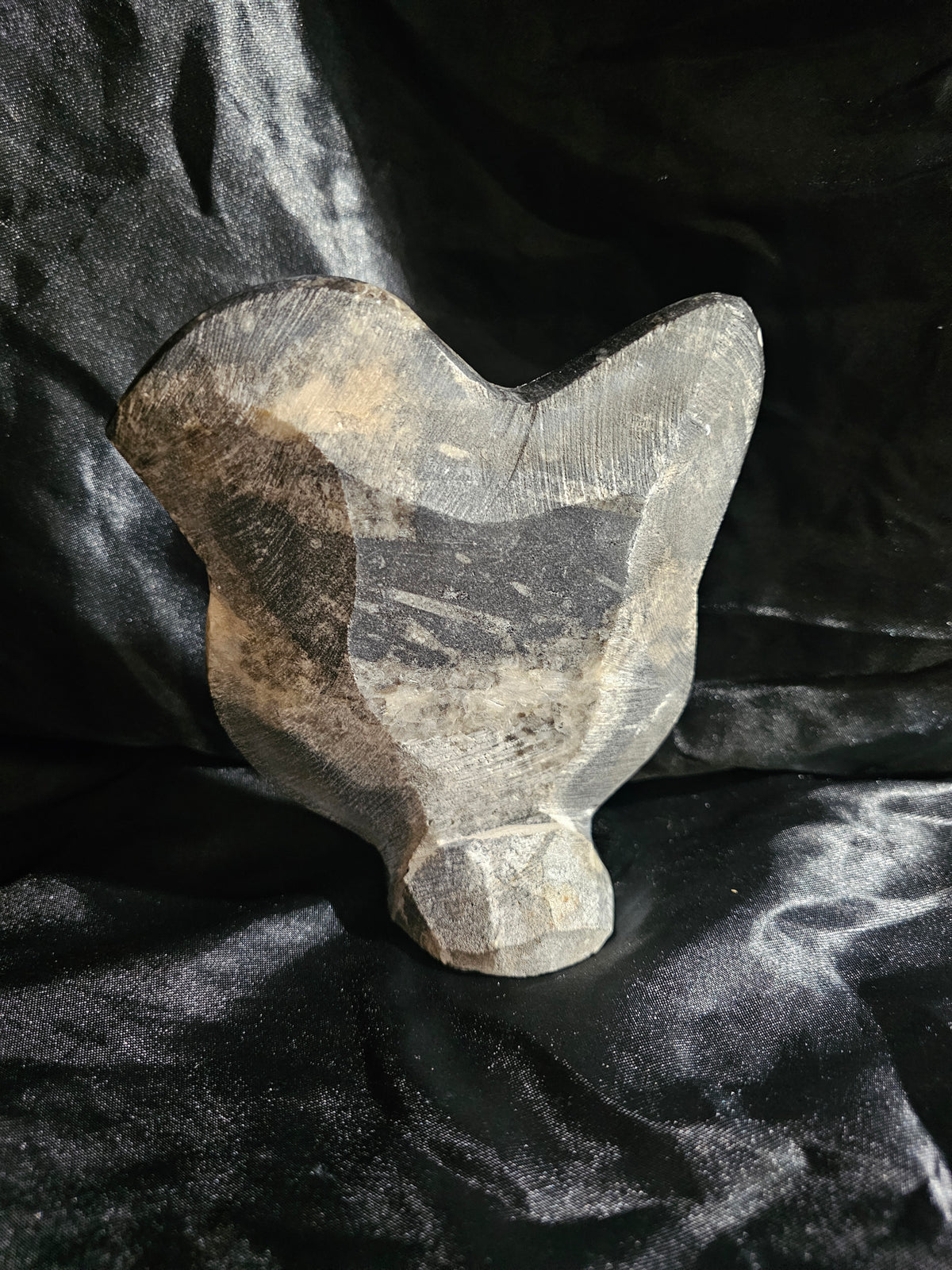 Polished Orthoceras Fossil With Ammonite