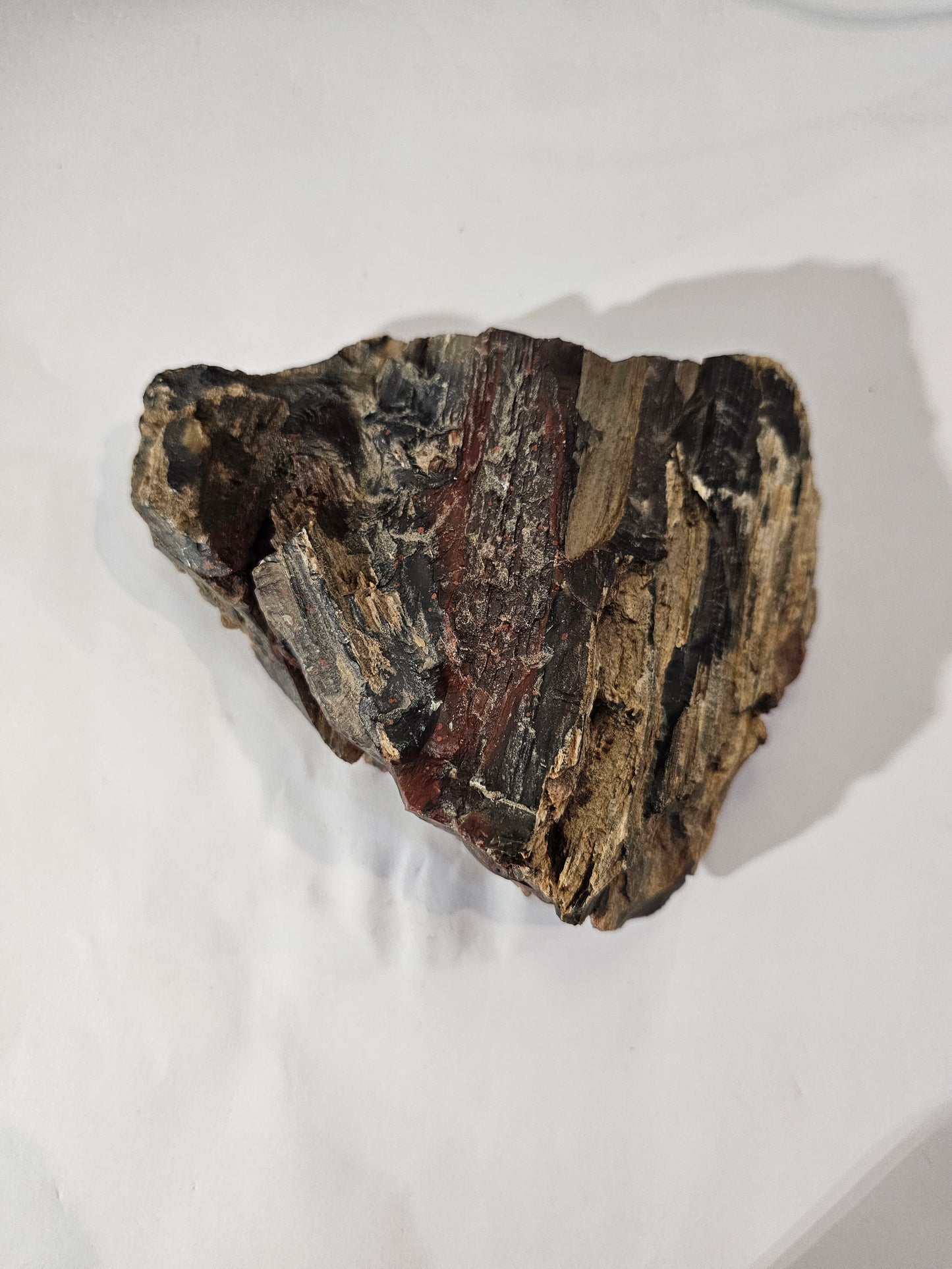 Raw Silver Creek Junction Petrified Wood Specimen with Knot