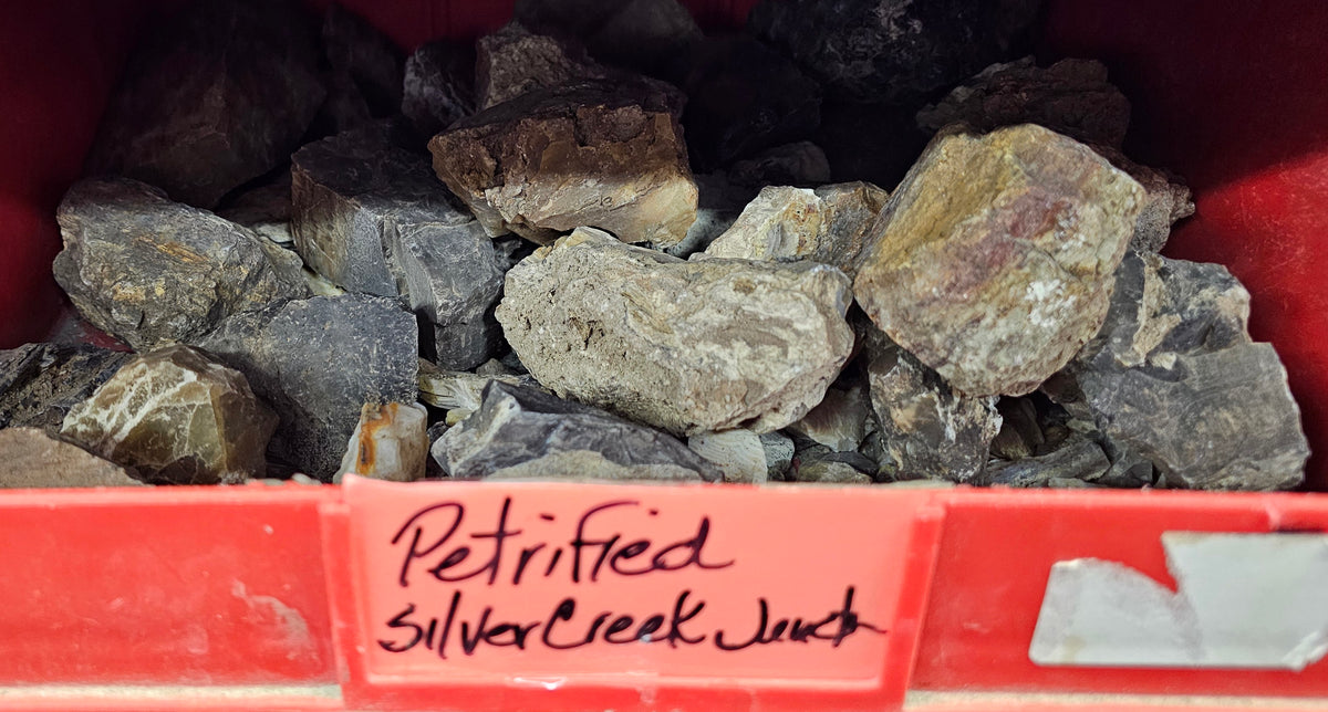 Raw Silver Creek Junction Petrified Wood - 1lb Lot