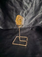 🔶 Point - Citrine on Stand – 3"