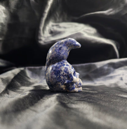 Hand‑Carved Sodalite Skull with Bird Totem | Metaphysical Crystal Carving