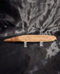 Spinosaurus Tooth - Fossil