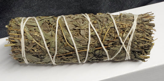 Mugwort Sage / Black Sage