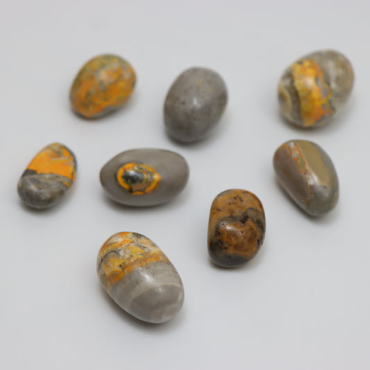 Bumble Bee Jasper Tumbled Stone