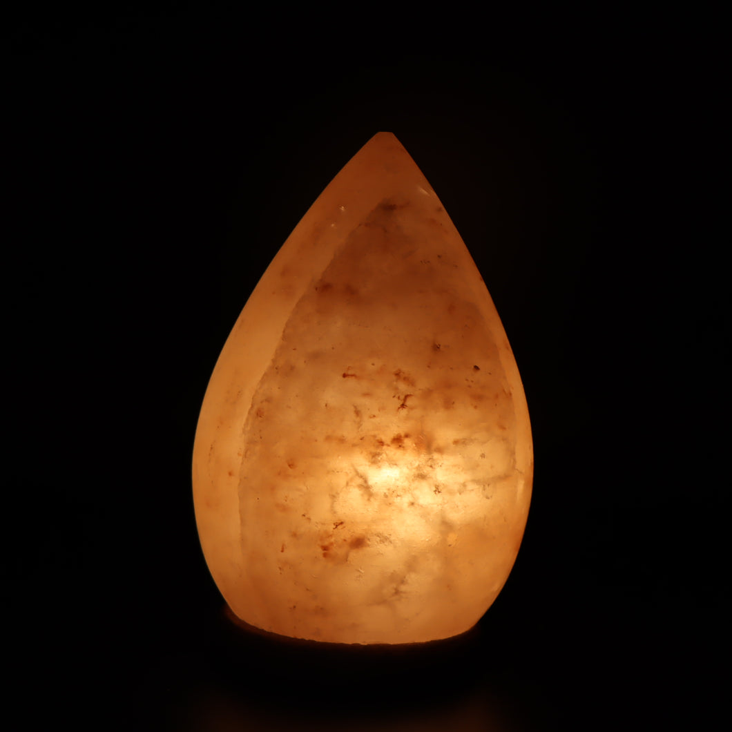Egg Himalayan Salt Lamp