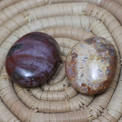 Petrified Wood Palm Stone