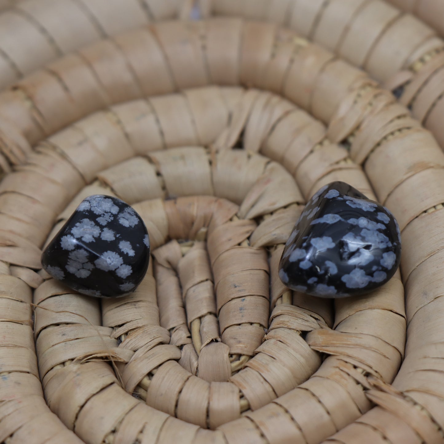 Snowflake Obsidian Tumbled Stones