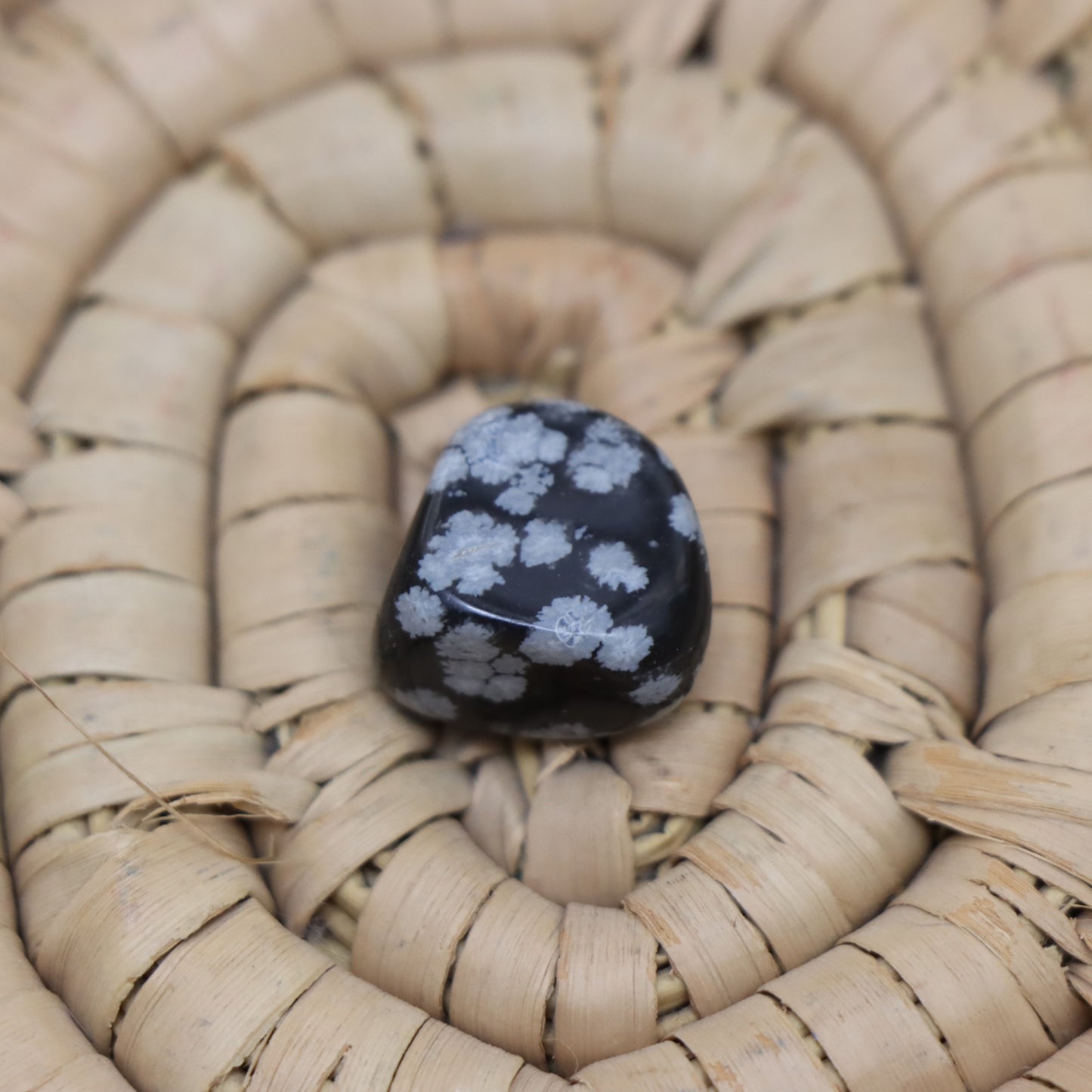 Snowflake Obsidian Tumbled Stones
