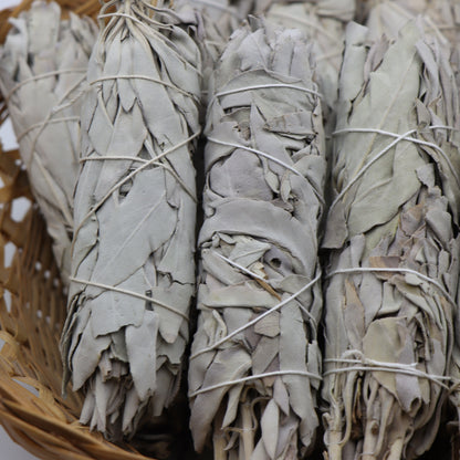 White Sage Bundle