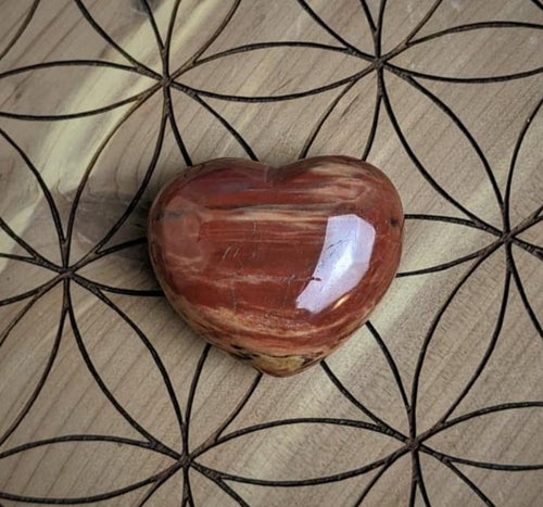 Petrified Wood Crystal Heart
