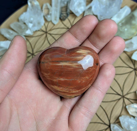Petrified Wood Crystal Heart